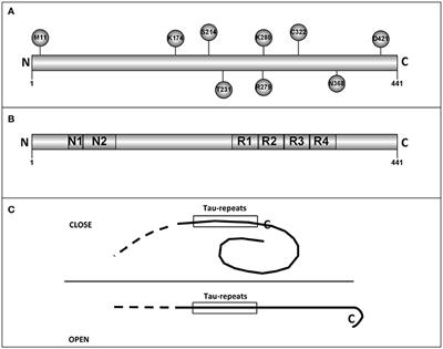 Tau Structures
